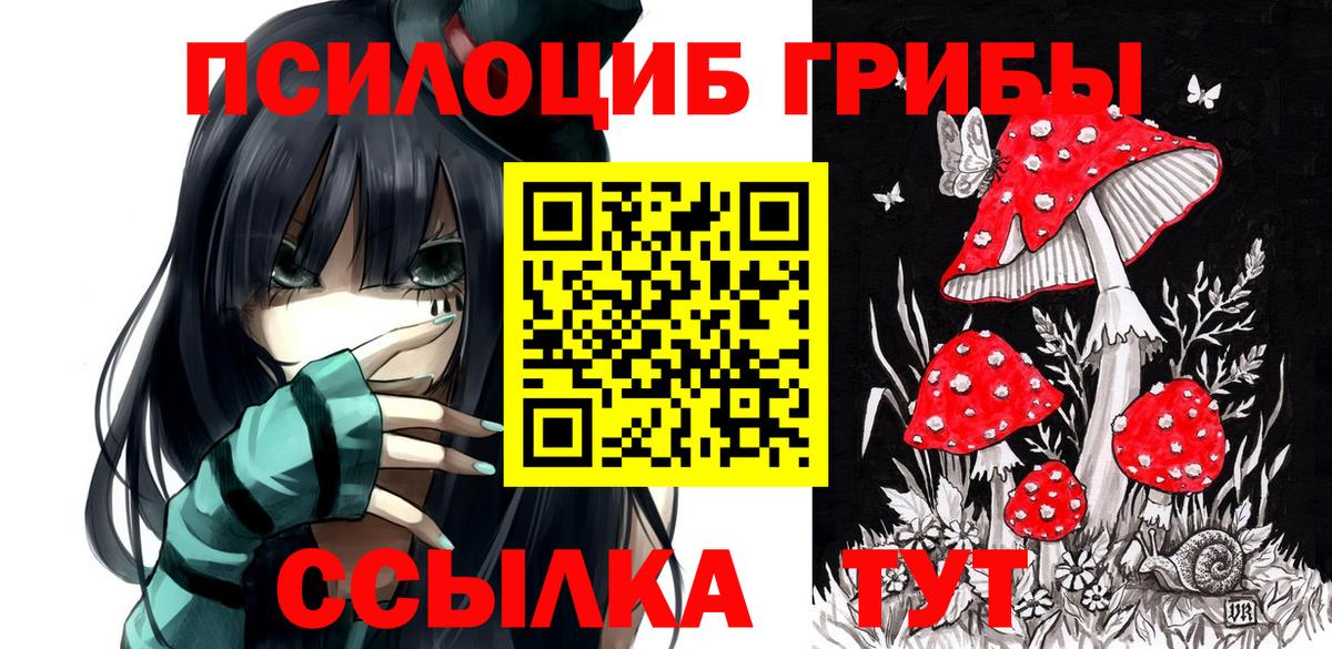 где можно купить   Псилоцибиновые грибы MAGIC MUSHROOMS  Вход с VPN  Каменск-Уральский 