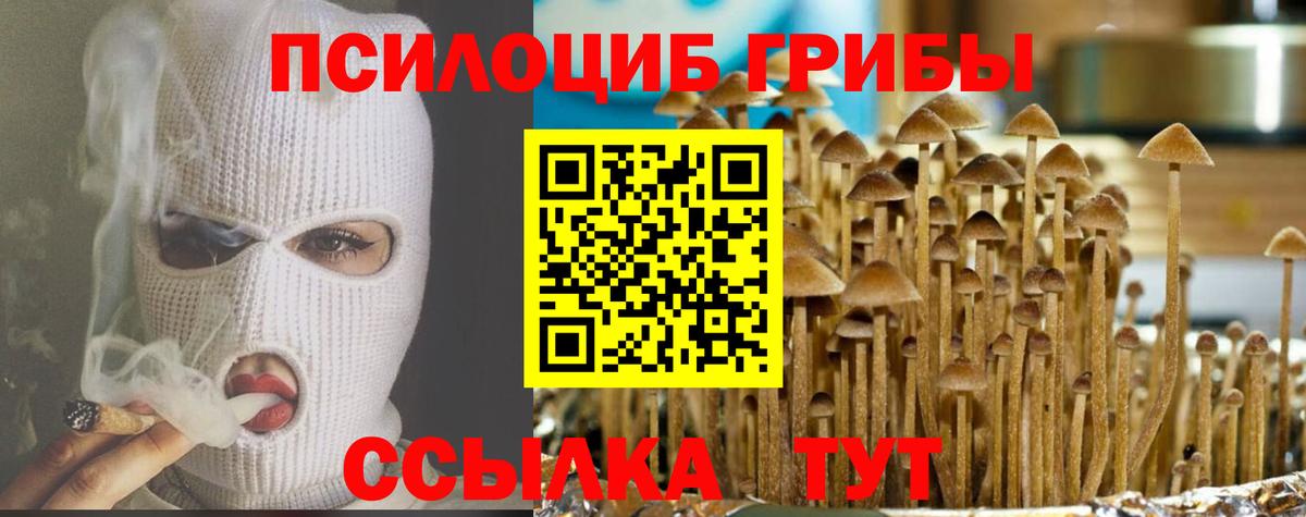 Псилоцибиновые грибы Magic Shrooms Каменск-Уральский