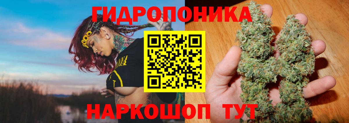 Каннабис VHQ  Вход с VPN  Каменск-Уральский  Каннабис тримм  Канабис Amnesia 